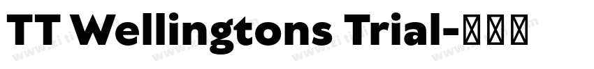 TT Wellingtons Trial字体转换